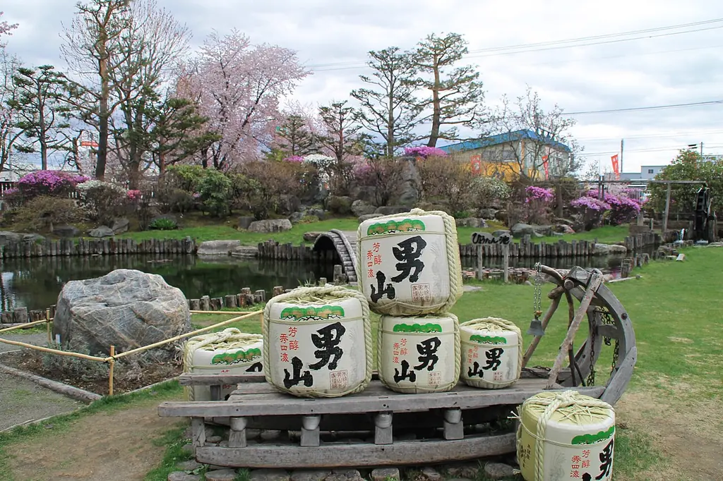 庭に並ぶ男山の菰樽