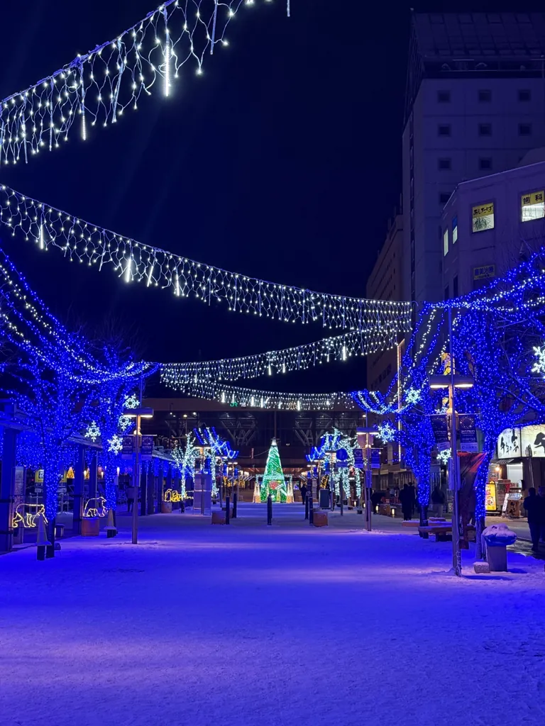 12月、雪の街を彩る青いイルミネーション