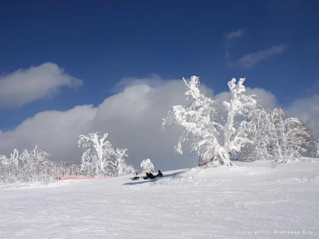 カムイスキーリンクスの雪の斜面と樹氷
