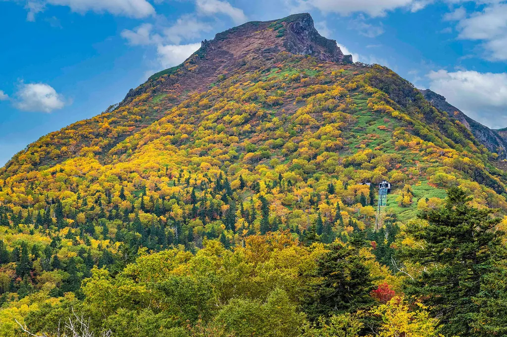 紅葉に包まれた黒岳(上川町)